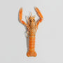 Langoustines fraîches préparées par L’Écailler de Stef